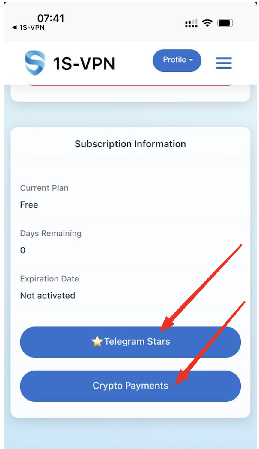 1S VPN payment methods